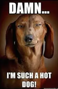 Hot Dog!
